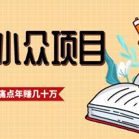 一直都很火的小众项目，抓住应届生求职痛点，这个小众项目年入几十万的底层