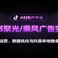 小红书聚光/乘风广告实战课：投放运营、数据优化与抖音本地推全攻略