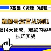 蝴蝶号运营从0到1，零基础14天速成，爆款内容与涨粉技巧实战