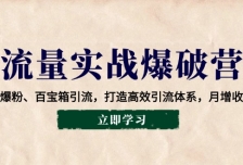 流量实战爆破营：企微爆粉、百宝箱引流，打造高效引流体系，月增收万元