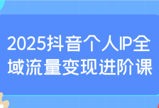 2025抖音个人IP全域流量变现进阶课：选爆品、抖音付费投流、千川投流实操及