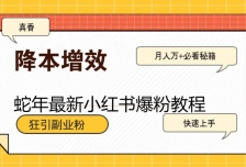 蛇年最新小红书爆粉教程，狂引副业粉，月入万+必看