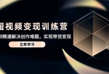 AI短视频变现训练营，从入门到精通解决创作难题，实现带货变现