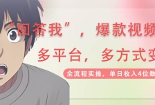 回答我爆款视频，自带流量，AI拉新分成计划等多方式多平台变现，单日收入4