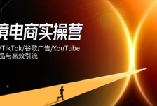跨境电商实操营：独立站/TikTok/谷歌广告/YouTube，精准选品与高效引流